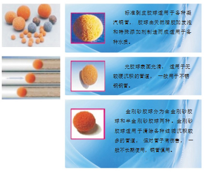 圖片7